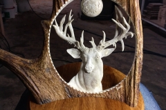 Life dream buck1-min