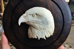 Tête d'aigle1-min