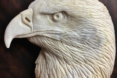 Tête d'aigle2-min