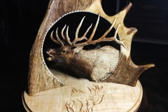 Wapiti1-min